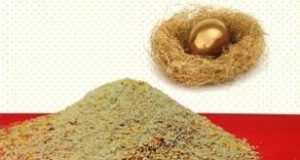 صدف معدنی طیور