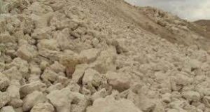 صدف معدنی کلسیم