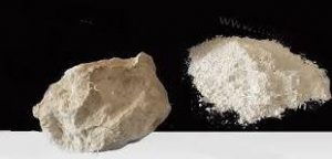 بزرگترین تولید کننده انحصاری صدف معدنی در ایران