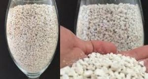 پودر صدف معدنی پویا صدف