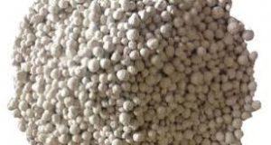 صدف معدنی باکیفیت