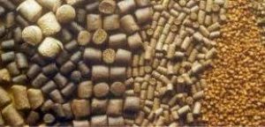 صدف معدنی خوراک دام