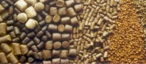 مزایا مصرف صدف معدنی در تهیه خوراک کارخانه ای