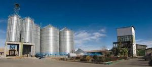 فروش صدف معدنی سایز پودری در کارخانجات خوراک