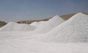 صدف معدنی خوراک دام