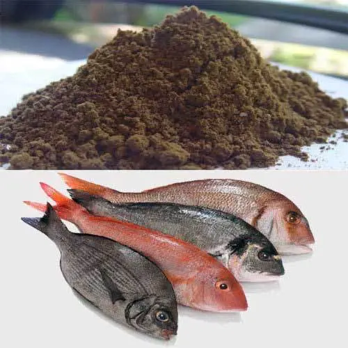 پودر ماهی خالص جنوب