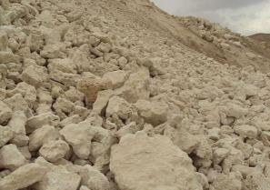 تولید کننده صدف معدنی