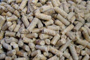 سایت فروش کنسانتره دام