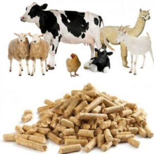 فروش عمده کنسانتره دام