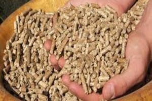 سایت فروش کنسانتره دام