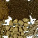 سایت فروش کنسانتره دام