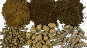 سایت فروش کنسانتره دام